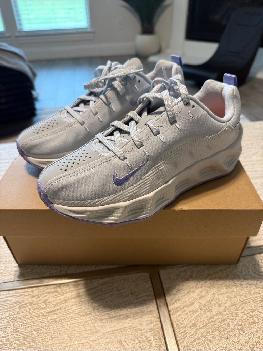 Nike Kids Light Gray and Lavender Low-Top Sneakers